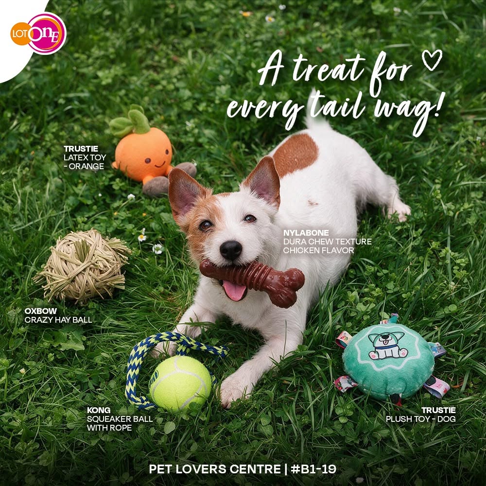 Pet Lovers Centre Lot One National Dog Day dog toys