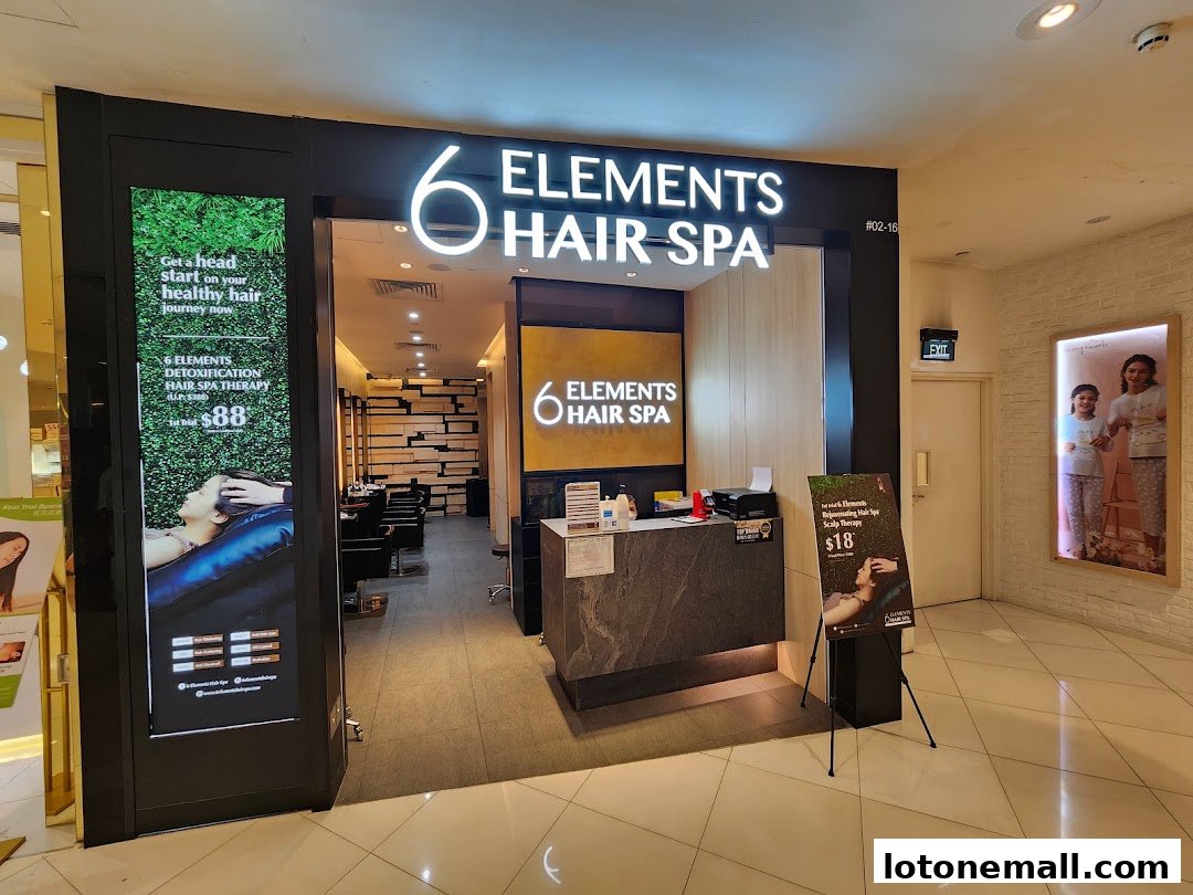 6 Elements Hair Spa