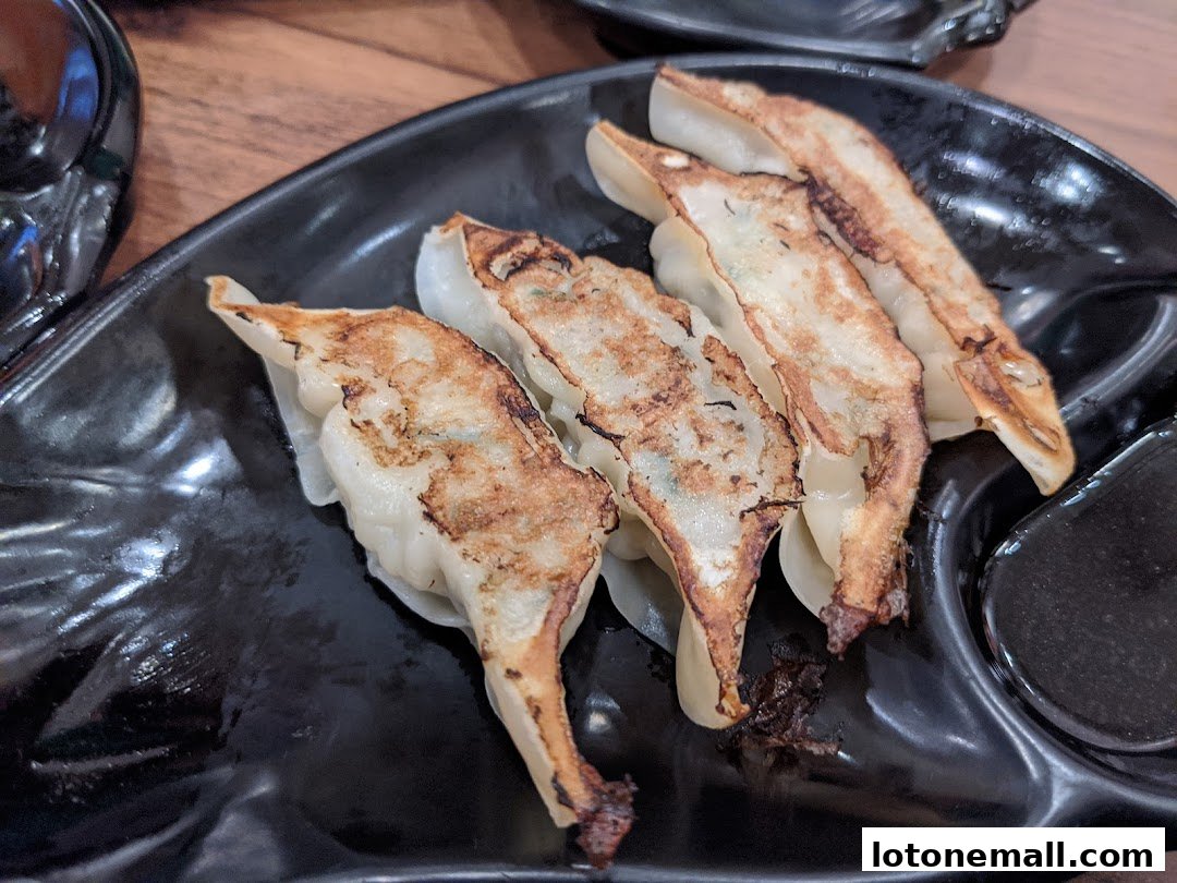 A close-up shot of pan-fried gyoza dumplings on a black plate.