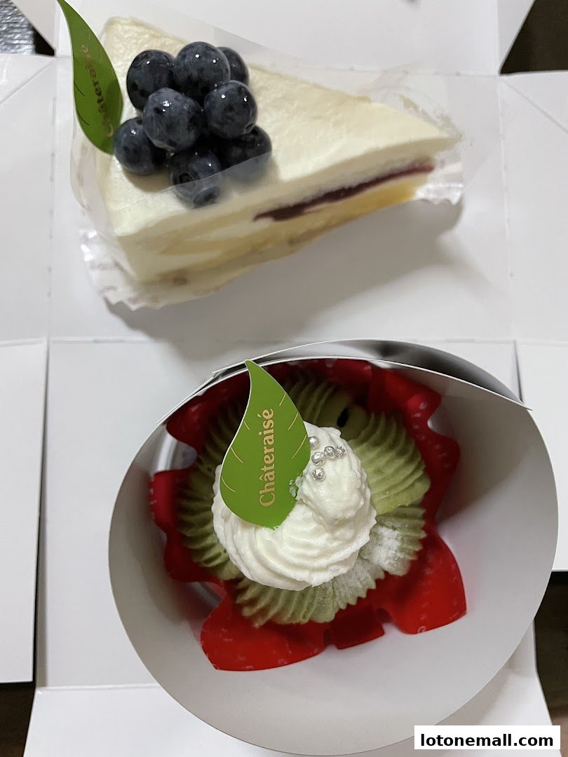 Two delicious Châteraisé desserts, a slice of cake and a fruit tart, presented in a box.