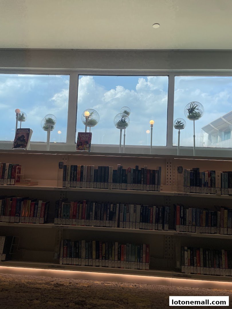Bookshelves filled with books, with decorative terrariums and lights by a window.