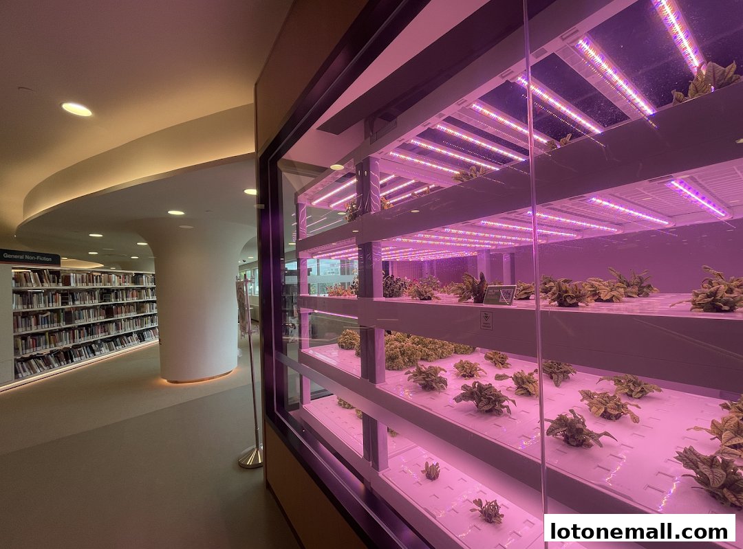 Interior view of a library with bookshelves and a vertical hydroponic farm.
