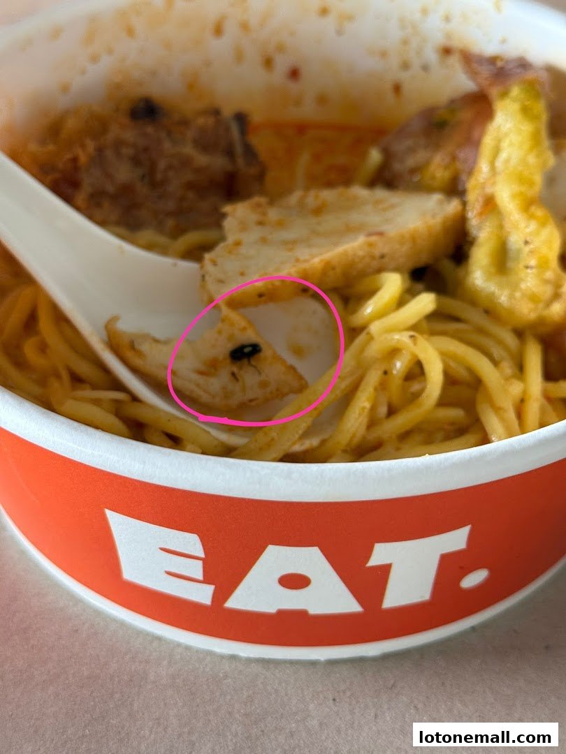 A close-up of a bowl of noodles with meat and fish cakes, showing a fly on a piece of chicken.