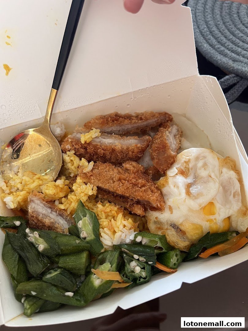 Hainanese Curry Rice