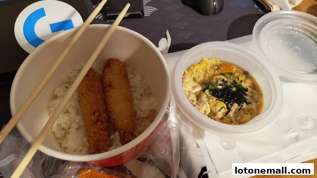 A close-up of two takeout containers filled with rice and fried items, and a savory egg dish.