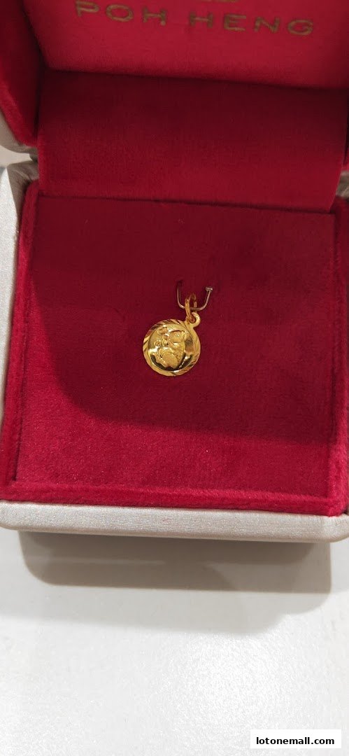 A gold pendant with a circular design is displayed in a red jewelry box.